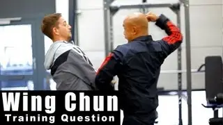 Wing Chun training - wing chun why so many energy drills? Q17