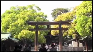 Temple Hopping in Tokyo