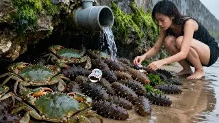 Xiao Zhang Had Incredible Luck While Foraging On The Beach, Finding Lobsters And Crabs Non-Stop.