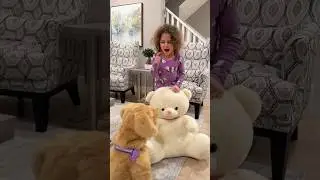 Treat pets with care - Sierra teaches Rhia to be kind and patience with our friendly dog