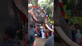 Thripurandaka Shiva temple 2025 ulsavam shorts #devbakth | Malappuram | ത്രിപുരാന്തക ക്ഷേത്രം