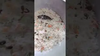 it's my pleasure 😊#shorts #short #food #rice #love #like #share #subscribe