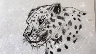 How to draw a jaguar 🐆 |easy drawing