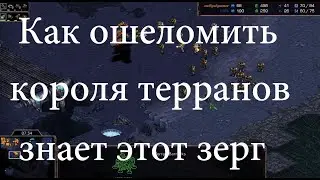 Может ли крутой зерг озадачить короля терранов мощью муталисков? HM vs Rush - Starcraft Brood War