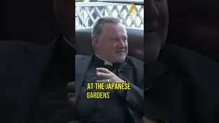 The Apology