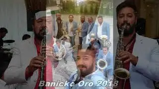 ork.  ilmi agusev new 2018 ( svadbarsko)
