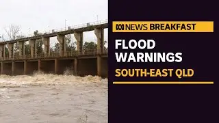 Border town evacuated as record rain is dumped across southern Queensland | ABC News
