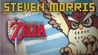 Legend of Zelda: Link's Awakening Mysterious Woods funk cover by Steven Morris