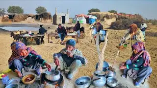 People Living in Desert and their Morning Routine | Cow Herders Desert Life Style | Stunning Rohi