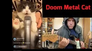 Doom Metal Cat #cats