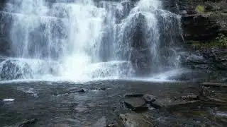 Ricketts Glen State Park Drone Footage 🌲 | Aerial Views of Waterfalls & Gorges, PA