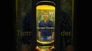 Turmeric Powder. #trending #trendingvideo
