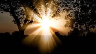 You Light Me Up  -  Andy Delos Santos feat. Craig Reever