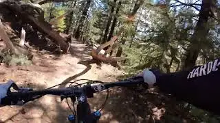 Hardheaded Ram MTB, Frazier Park Pine Mountain, California Trails, Mountain Biking, MTB , Downhill.