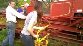 THRESHING CORN IN POYNTZPASS 2013
