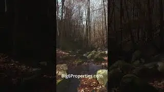 Check out this rare +/- 154 acre mountain tract selling at auction in Alexander County, NC.