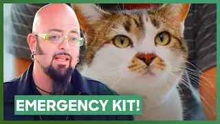 Jackson Helps Couple Who Has First Aid Kit Dedicated To Injuries From Their Cat | My Cat From Hell