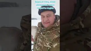 Спасение лебедя под Брестом #домбрестскогоаиста #беларусь #лебедь
