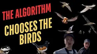 Who&rsquo;s the Better Birder? eBird Decides