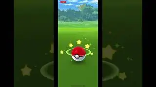 Getting shiny wailmer in pokemon  go #pokemon #shinypokemon