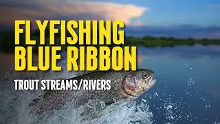 Flyfishing Blue Ribbon Trout Streams and Rivers Pools, Riffles, Runs and More