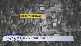 'Joy on the Avenue' pop-up bar coming to Del Ray