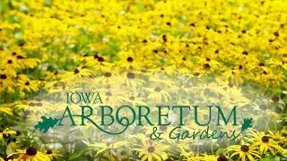 Iowa Arboretum and Gardens - An Arboretum for All