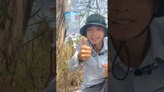 How to Save Water in Forest