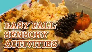 Easy Fall Sensory Activities for Toddlers