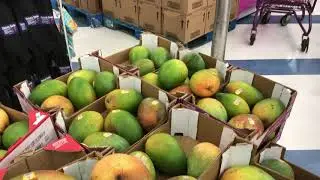 Best Mangos Ever!  And Cheap!!!