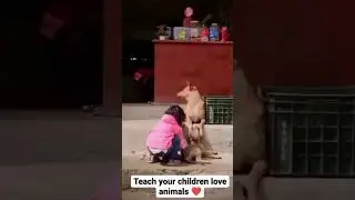 teach your children love in animals ❤️❤️
