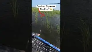 That Bass was Hungry.. 😂 #shorts