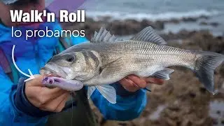La pesca de la LUBINA con SEÑUELOS de SUPERFICIE: RAPALA WALK'N ROLL