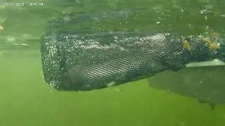 new lake new fishing (leighton lake pt.4)
