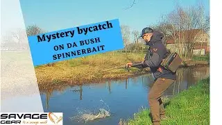 Mysterious Bycatch on the Da bush Spinnerbait!?!?
