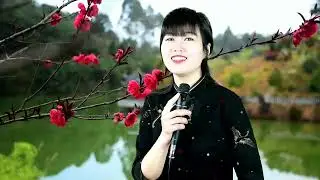 《人间第一情》《久醉红尘情难了》《最亲的人》《姑娘我爱你》
