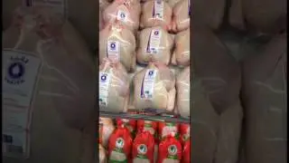 يوميات العجيمي ١٩٢- هل الدجاج معطى هرمونات