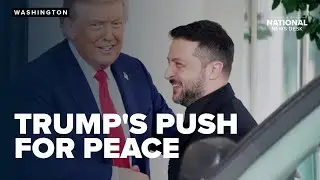 Trump steps in: Calls for direct Putin&ndash;Zelenskyy negotiations