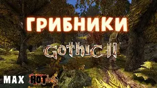Лучший мод Gothic II по итогам 2016 и 2017 годов! Грибники.