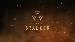 True Stalker #8 ►Прохождение  Визирь и четкий пацан Куча  Часть 1