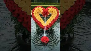 Tari Har Nazam  Love Songs Flower Heart Pictures Status 💖 #shorts #flowerstatus