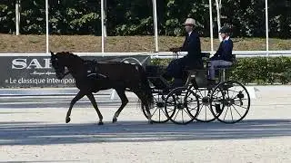 16 BÜCKER Tobias, GER, Haras du Pin   WorldChampionship Ponies, Dressage P1, 18.09.2025