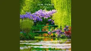 Serene Countryside with Ambient Nature Sounds