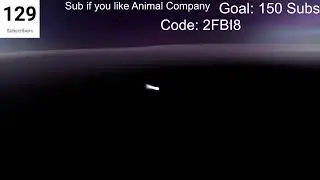 Playing animal company