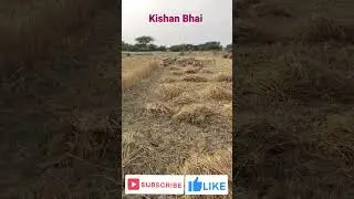 mere khet #shortvideo #shorts #short #viral #trending #inigar