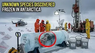 Unknown Species Discovered Frozen in Antarctic Ice &mdash; Scientists Can't Identify It