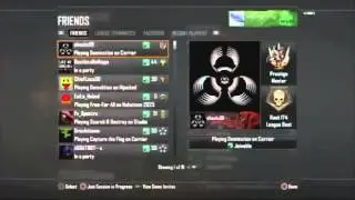 Bo2 Emblem Copy Glich