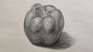 How to draw and shade a bell pepper | shading with pencil for beginners