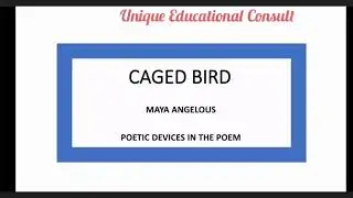 CAGED BIRD: POETIC DEVICES IN THE POEM
