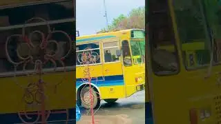 Chenab College Jhang | last memories # #punjabi #viralvideo #pakistan #viral #jhang #ytshorts #short